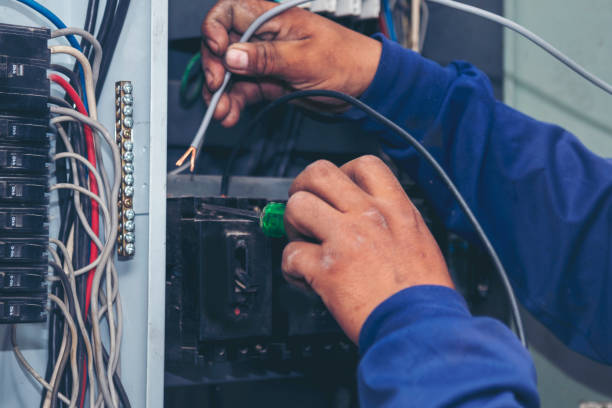 Best Electrician for Home Renovation  in Moravian Falls, NC